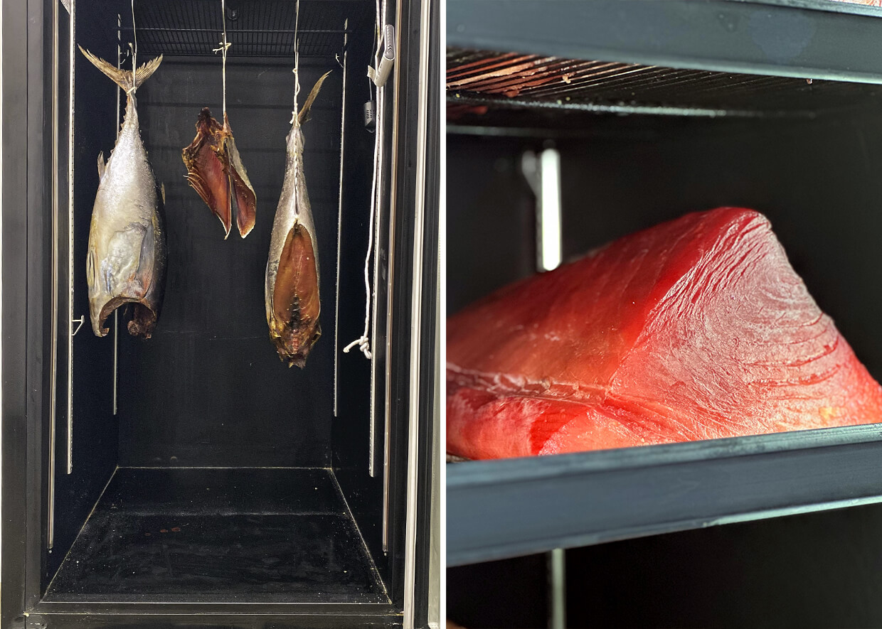 Câmara DryFish MaturaMeat®, peixes maturando